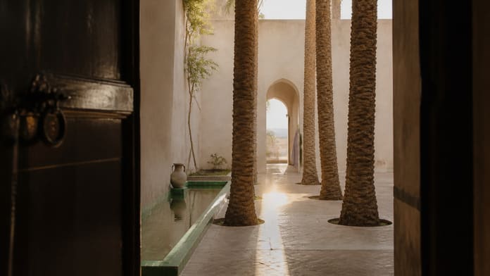 Vue conceptuelle au lever du jour depuis une porte sombre vers un patio ivoire structuré par quatre palmiers.